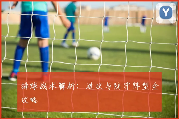 排球战术解析:进攻与防守阵型全攻略
