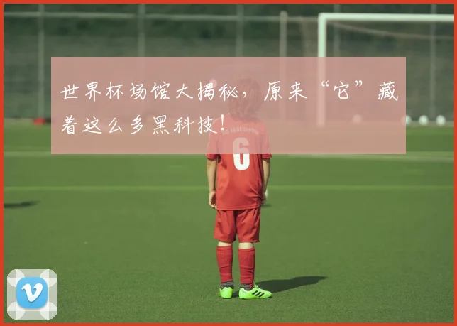 世界杯场馆大揭秘,原来“它”藏着这么多黑科技!