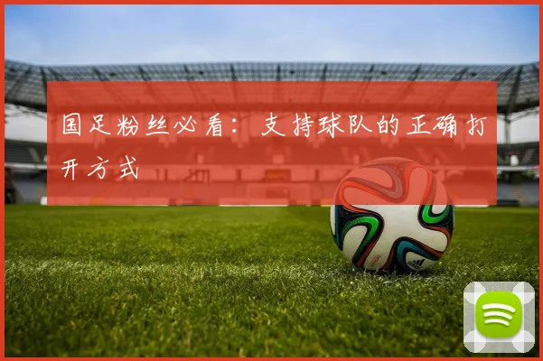 国足粉丝必看:支持球队的正确打开方式