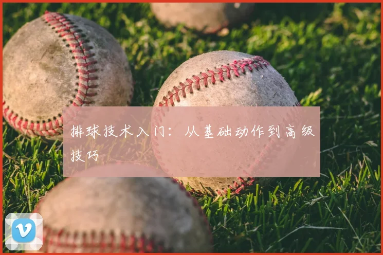 排球技术入门:从基础动作到高级技巧