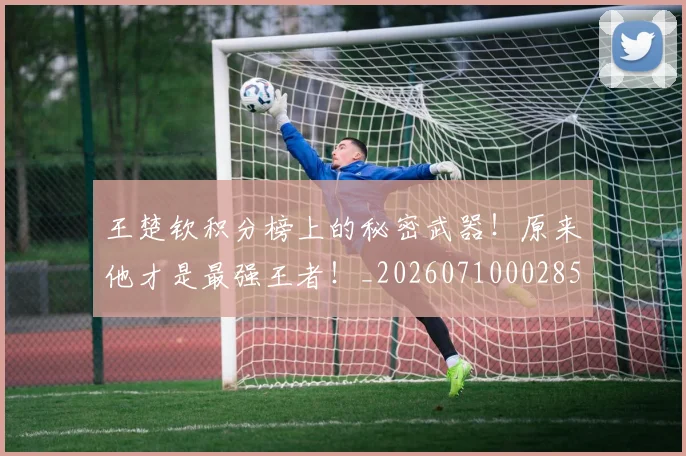 王楚钦积分榜上的秘密武器！原来他才是最强王者！_20260710002853