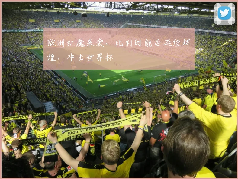 欧洲红魔来袭，比利时能否延续辉煌，冲击世界杯