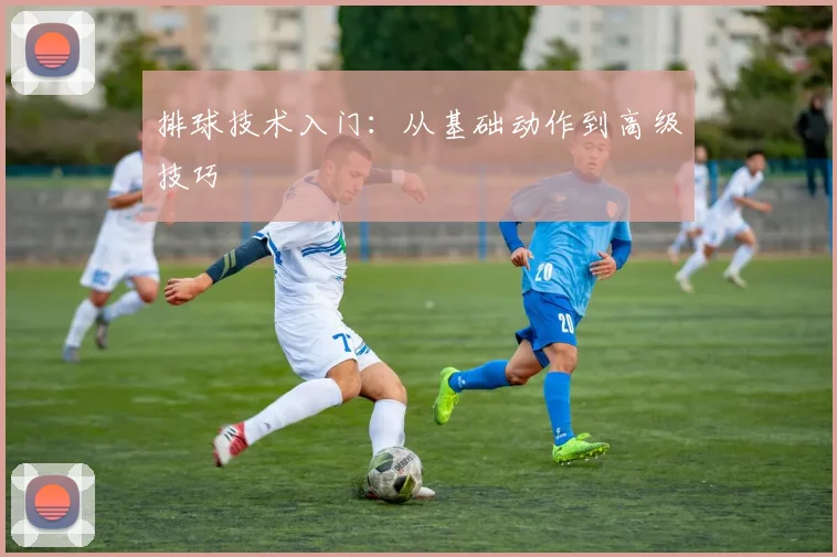 排球技术入门:从基础动作到高级技巧