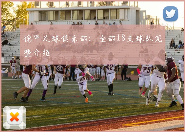 德甲足球俱乐部：全部18支球队完整介绍
